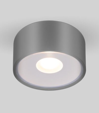 Уличный потолочный светильник Elektrostandard Light LED 4690389180149