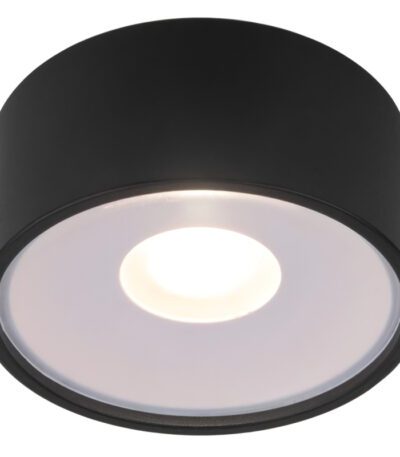Уличный потолочный светильник Elektrostandard Light LED 4690389180156