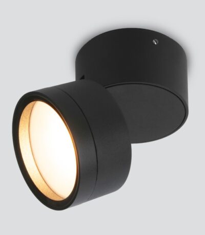 Уличный потолочный светильник Elektrostandard Okko 4690389189135 a061142