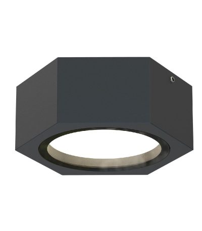 Уличный потолочный светильник Favourite Fantum 4667-1U