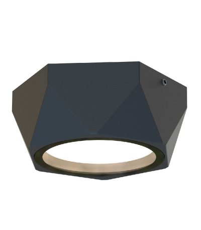 Уличный потолочный светильник Favourite Fantum 4670-1U