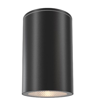 Уличный потолочный светильник Maytoni Roll O307CL-01B