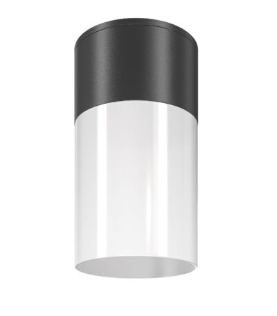 Уличный потолочный светильник Maytoni Willis O418CL-01B