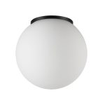 Уличный потолочный светильник Odeon Light Nature Viva 7124/1C