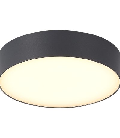 Уличный потолочный светильник ST Luce Sun SL9518.702.01