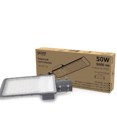 Уличный светодиодный консольный светильник Gauss Avenue 629534350