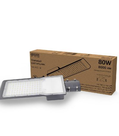 Уличный светодиодный консольный светильник Gauss Avenue 629534380