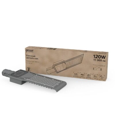 Уличный светодиодный консольный светильник Gauss Avenue 629536320