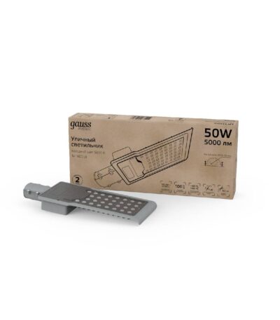 Уличный светодиодный консольный светильник Gauss Avenue 629536350