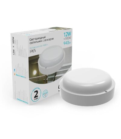 Уличный светодиодный светильник Gauss 126411212-S