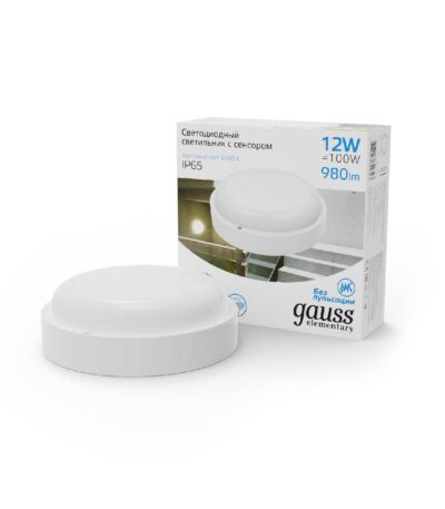 Уличный светодиодный светильник Gauss 126411312-S