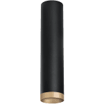 Накладной светильник Lightstar Rullo R49740 (214497+203440)