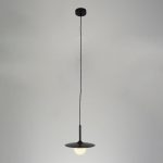 Подвесной светильник Zortes Lumi ZRS.2436.25