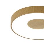 Потолочный светильник Mantra Coin 7568