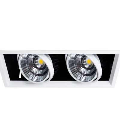 Встраиваемый светильник Arte Lamp Merga A8450PL-2WH