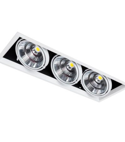 Встраиваемый светильник Arte Lamp Merga A8450PL-3WH