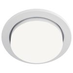 Встраиваемый светильник Elektrostandard 1035 GX53 WH белый 4690389067549