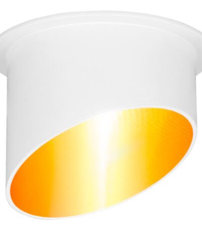 Встраиваемый светильник Elektrostandard 7005 MR16 WH/GD белый/золото 4690389123672