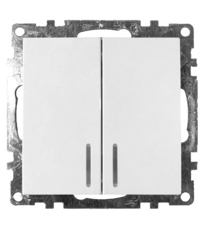 Выключатель 2-клавишный c индикатором Stekker 39301