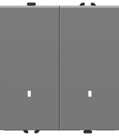 Выключатель 2-клавишный c индикатором Stekker Эмили RSW10-5102-10 49942