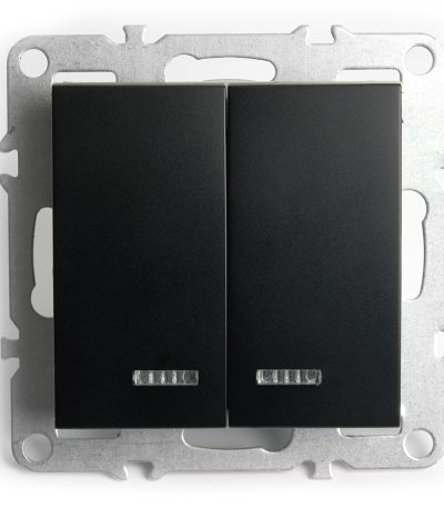 Выключатель 2-клавишный с индикатором Stekker Эрна PSW10-9102-03 49147