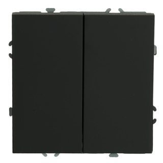 Выключатель 2-клавишный Stekker Эмили RSW10-5104-10ZK 50247