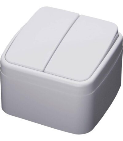 Выключатель двухклавишный Feron Stekker Basic PSW104220 39032