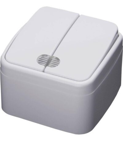 Выключатель двухклавишный Feron Stekker Basic с подсветкой PSW103220 39030