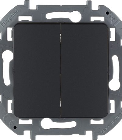 Выключатель двухклавишный Legrand Inspiria 673623