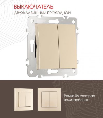 Выключатель двухклавишный проходной Arte Milano 206.32-2.shampan