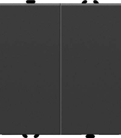 Выключатель двухклавишный Stekker RSW10-5104-05 Эмили 49840