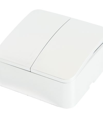 Выключатель двухклавишный Stekker София MSW10-20-01 49289