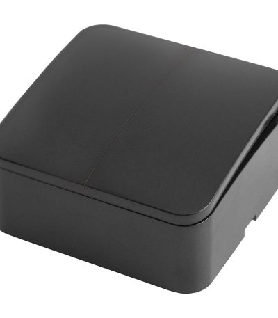 Выключатель двухклавишный Stekker София MSW10-20-02 49293