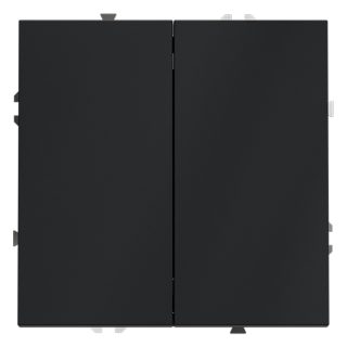 Выключатель двухклавишный Voltum S70 VLS020107