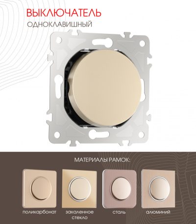 Выключатель одноклавишный Arte Milano 202.30-1.shampan