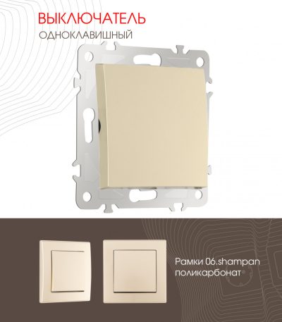 Выключатель одноклавишный Arte Milano 206.30-1.shampan