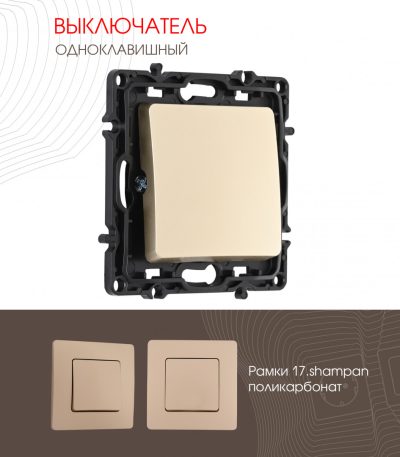 Выключатель одноклавишный Arte Milano 217.30-1.shampan