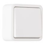 Выключатель одноклавишный проходной Arte Milano 310.32-1.white