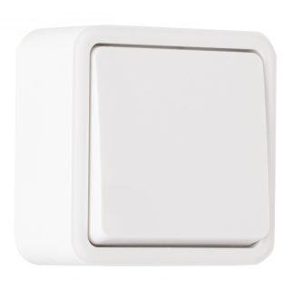 Выключатель одноклавишный проходной Arte Milano 310.32-1.white