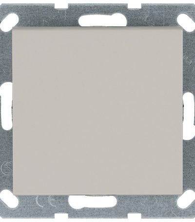 Выключатель одноклавишный проходной Jasmart 10A 250V с накладкой G3012T