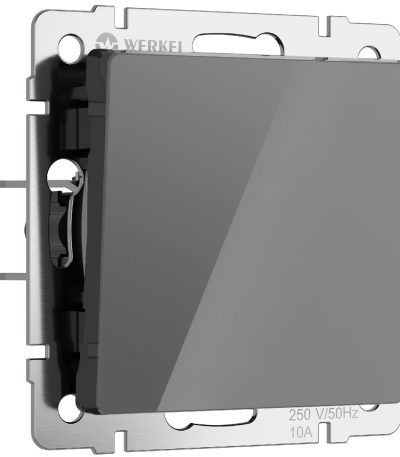 Выключатель одноклавишный проходной Werkel 4690389197420 W1112044 a064079