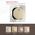 Выключатель одноклавишный с подсветкой Arte Milano 202.31-1.shampan