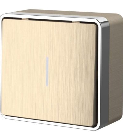 Выключатель одноклавишный с подсветкой Werkel Gallant шампань рифленый W5010110 4690389163821