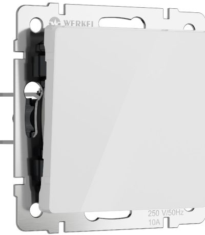 Выключатель одноклавишный Werkel 4690389197239 W1110041 a063996