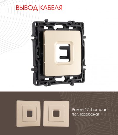 Вывод кабеля Arte Milano 217.49-1.shampan