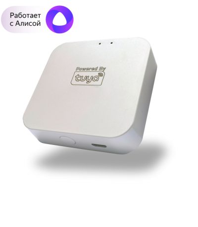 WIFI конвертер Denkirs SMART DK7400-WF