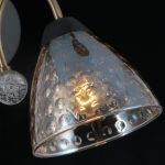 Люстра на штанге Illumico IL0230-5CSQ-29 BK AB