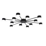 Потолочная люстра Lumion Comfi Torina 8344/12C