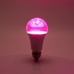 Лампа светодиодная для растений Feron LB-7061 E27 15W красно-синий спектр 38276