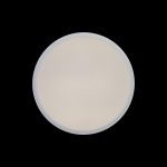 Потолочный светильник Loft IT AXEL 10002/12 White